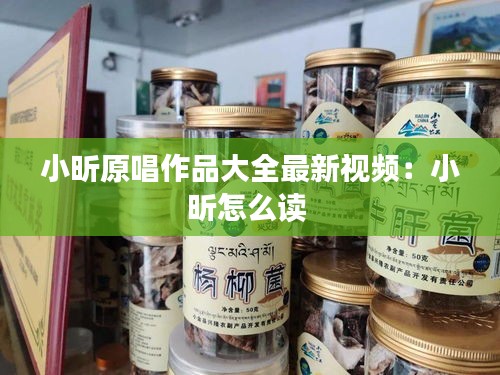 小昕原唱作品大全最新视频：小昕怎么读 