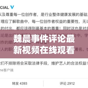 魏晨事件评论最新视频在线观看：魏晨 1 