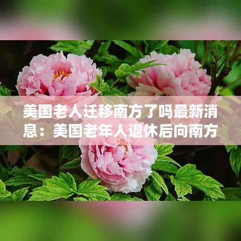 美国老人迁移南方了吗最新消息：美国老年人退休后向南方迁移 