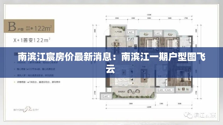 南滨江宸房价最新消息：南滨江一期户型图飞云 