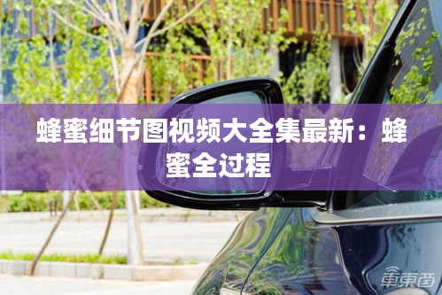 蜂蜜细节图视频大全集最新：蜂蜜全过程 