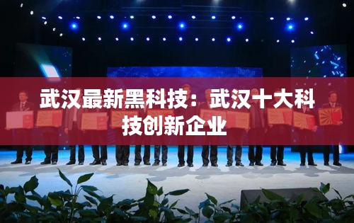 武汉最新黑科技：武汉十大科技创新企业 