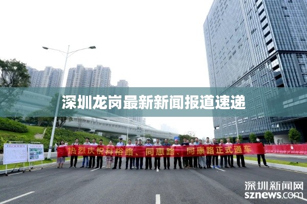 深圳龙岗最新新闻报道速递