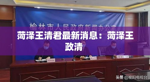 菏泽王清君最新消息：菏泽王政清 