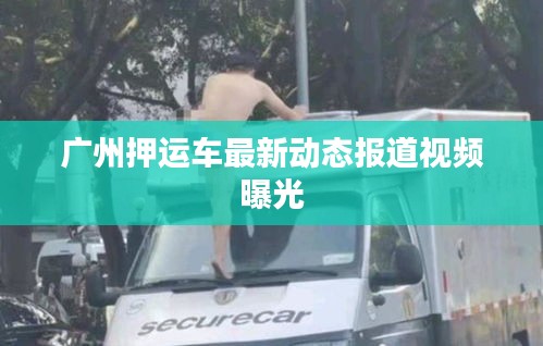 广州押运车最新动态报道视频曝光