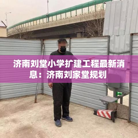济南刘堂小学扩建工程最新消息：济南刘家堂规划 