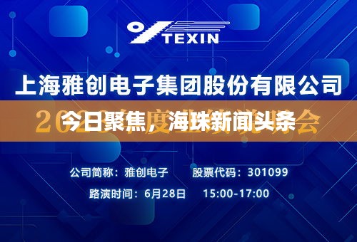 今日聚焦，海珠新闻头条