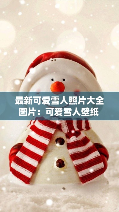最新可爱雪人照片大全图片：可爱雪人壁纸 