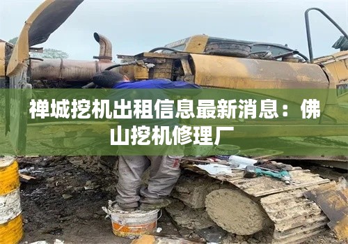禅城挖机出租信息最新消息：佛山挖机修理厂 