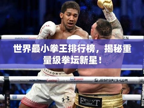 世界最小拳王排行榜，揭秘重量级拳坛新星！