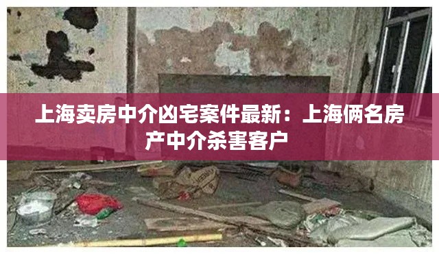 上海卖房中介凶宅案件最新：上海俩名房产中介杀害客户 