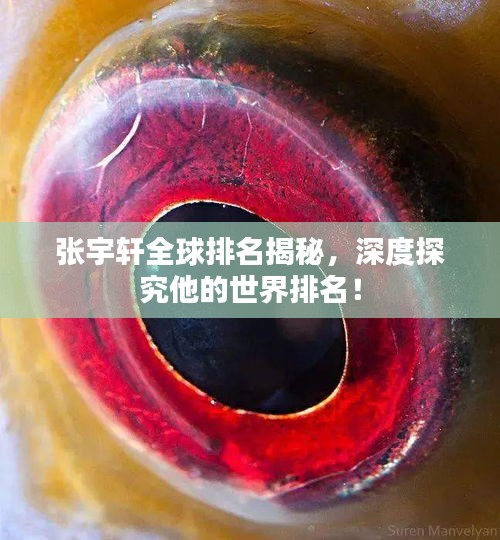 张宇轩全球排名揭秘，深度探究他的世界排名！
