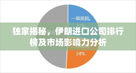 独家揭秘，伊朗进口公司排行榜及市场影响力分析