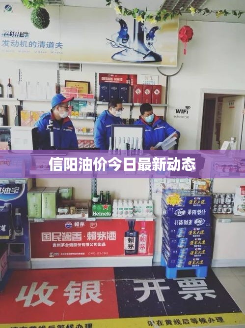 信阳油价今日最新动态