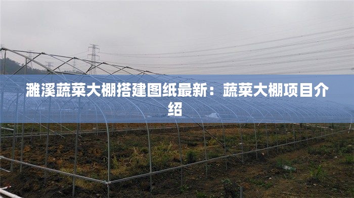 濉溪蔬菜大棚搭建图纸最新：蔬菜大棚项目介绍 