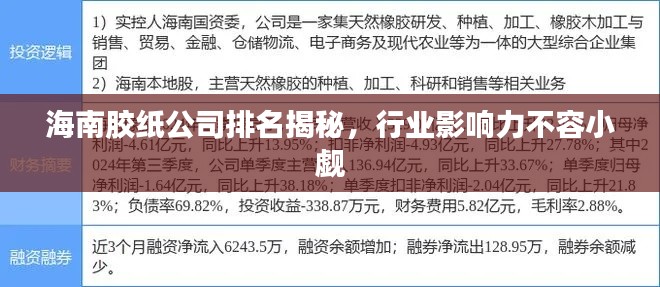 海南胶纸公司排名揭秘，行业影响力不容小觑