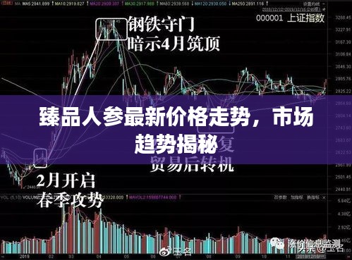 臻品人参最新价格走势，市场趋势揭秘