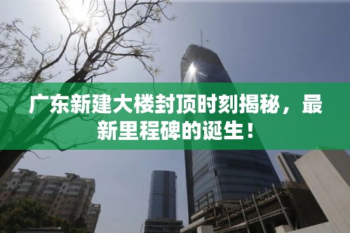 广东新建大楼封顶时刻揭秘，最新里程碑的诞生！