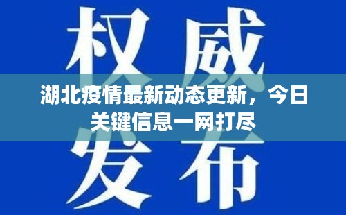 湖北疫情最新动态更新，今日关键信息一网打尽
