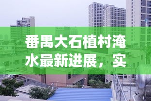 鸿飞雪爪 第3页