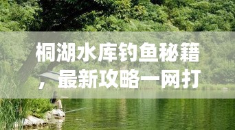 桐湖水库钓鱼秘籍，最新攻略一网打尽！