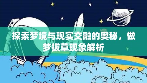 鸟啼花怨 第2页