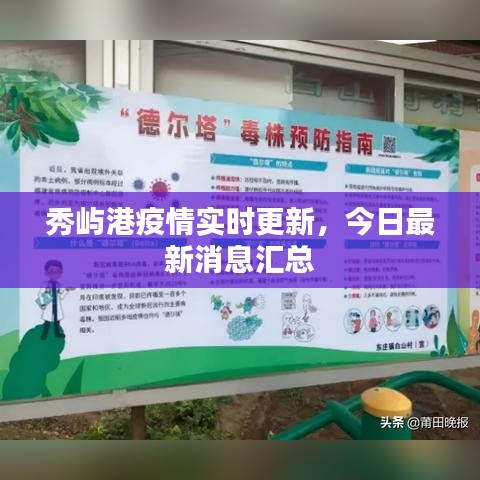 秀屿港疫情实时更新，今日最新消息汇总