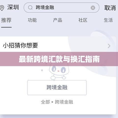 最新跨境汇款与换汇指南