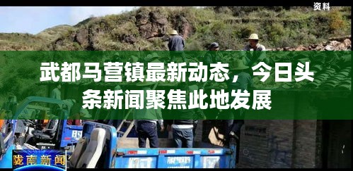 武都马营镇最新动态，今日头条新闻聚焦此地发展