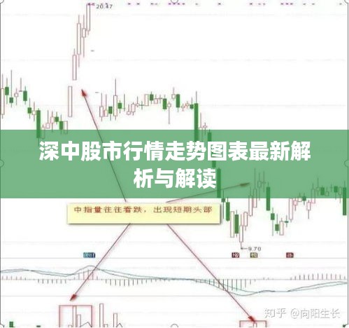 深中股市行情走势图表最新解析与解读