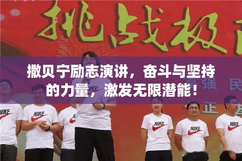 撒贝宁励志演讲，奋斗与坚持的力量，激发无限潜能！