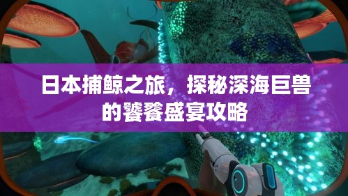 日本捕鲸之旅，探秘深海巨兽的饕餮盛宴攻略