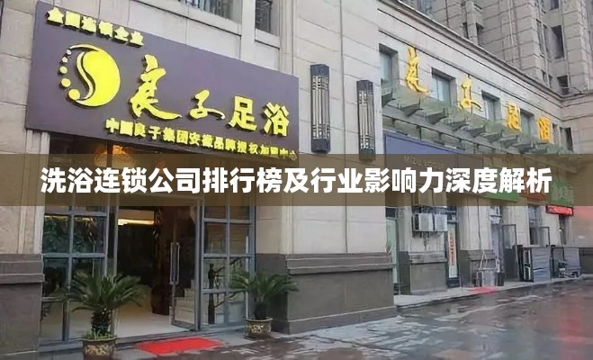 洗浴连锁公司排行榜及行业影响力深度解析