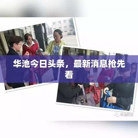 华池今日头条，最新消息抢先看