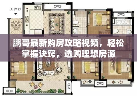 鹏哥最新购房攻略视频，轻松掌握诀窍，选购理想房源