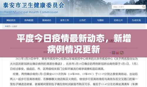 平度今日疫情最新动态，新增病例情况更新