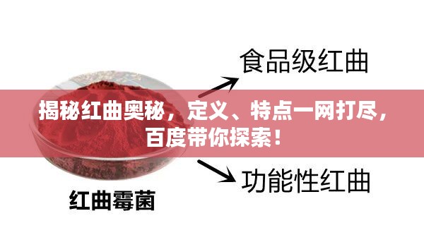 揭秘红曲奥秘，定义、特点一网打尽，百度带你探索！