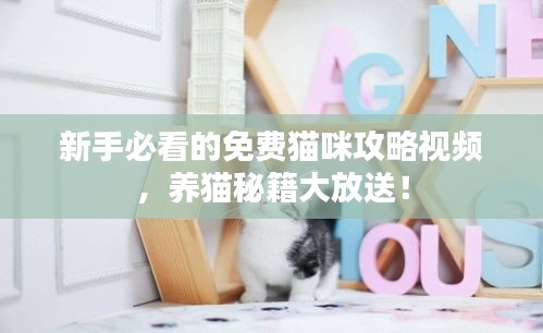 新手必看的免费猫咪攻略视频，养猫秘籍大放送！