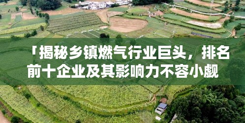 「揭秘乡镇燃气行业巨头，排名前十企业及其影响力不容小觑」