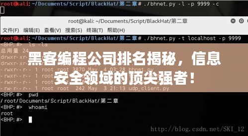 黑客编程公司排名揭秘，信息安全领域的顶尖强者！