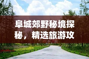 阜城郊野秘境探秘，精选旅游攻略