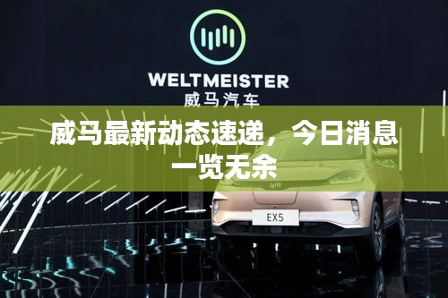 威马最新动态速递，今日消息一览无余