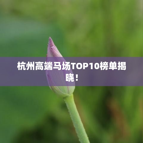杭州高端马场TOP10榜单揭晓！