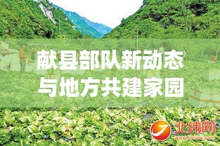 献县部队新动态与地方共建家园，新闻头条揭示和谐新篇章