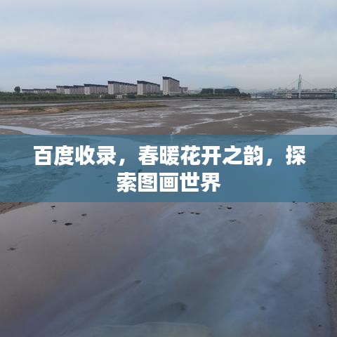百度收录，春暖花开之韵，探索图画世界