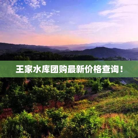 王家水库团购最新价格查询！