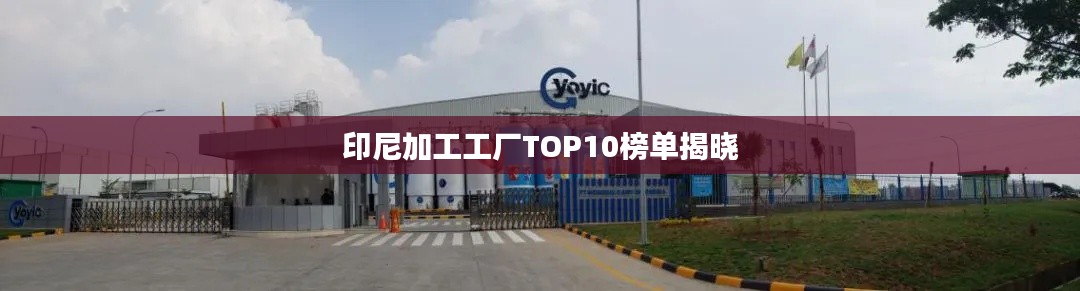 印尼加工工厂TOP10榜单揭晓