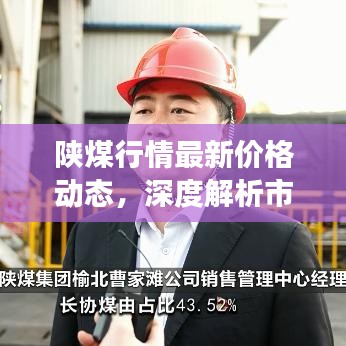 陕煤行情最新价格动态，深度解析市场走势与影响因素