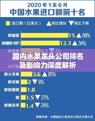 国内水果龙头公司排名及影响力深度解析