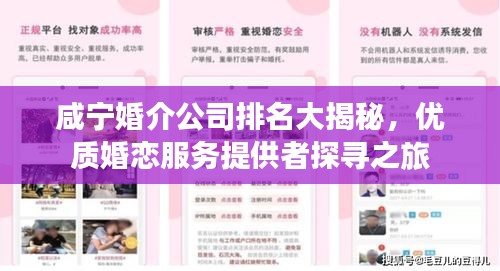 咸宁婚介公司排名大揭秘，优质婚恋服务提供者探寻之旅